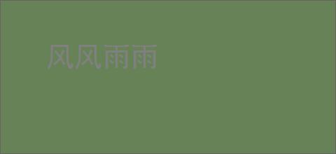 风风雨雨