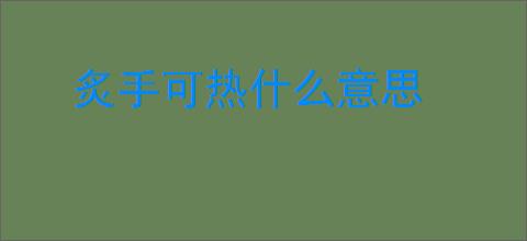 炙手可热什么意思