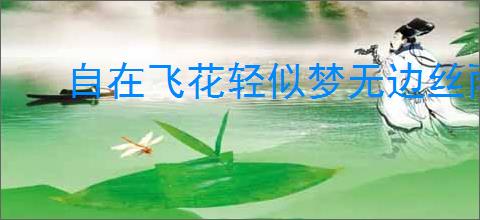 自在飞花轻似梦无边丝雨细如愁全诗