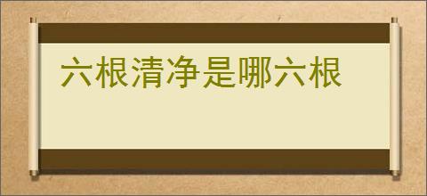 六根清净是哪六根