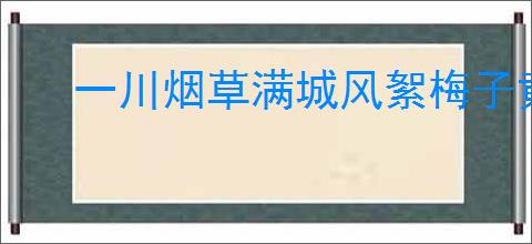 一川烟草满城风絮梅子黄时雨